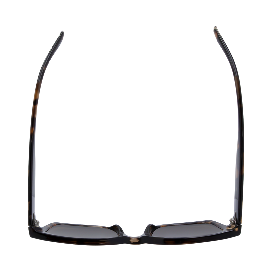 Rhodes Square Women's Sunglasses with Tortoise Shell Frame and Brown Lens top view