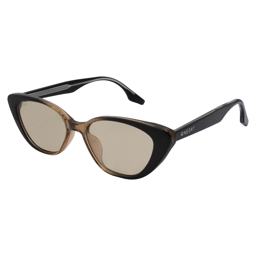 Celine - Black to Brown Brown