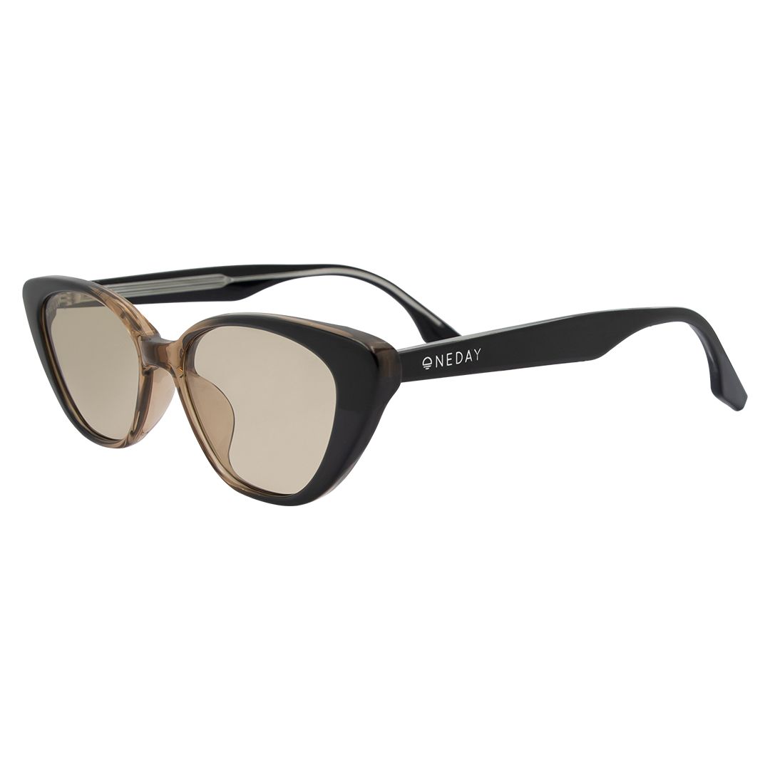 Celine - Black to Brown Brown