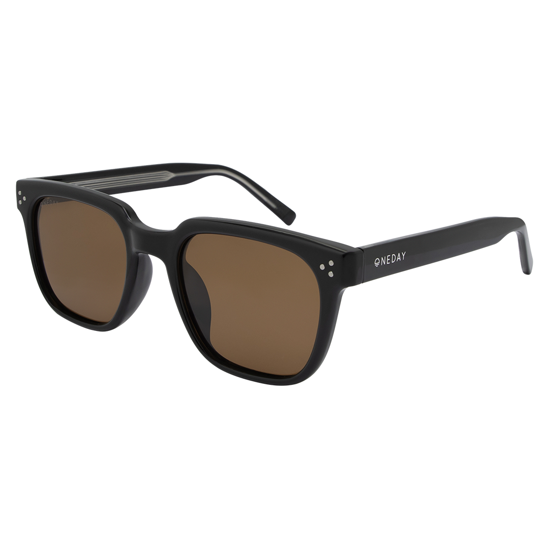 Parker - Shiny Black Brown