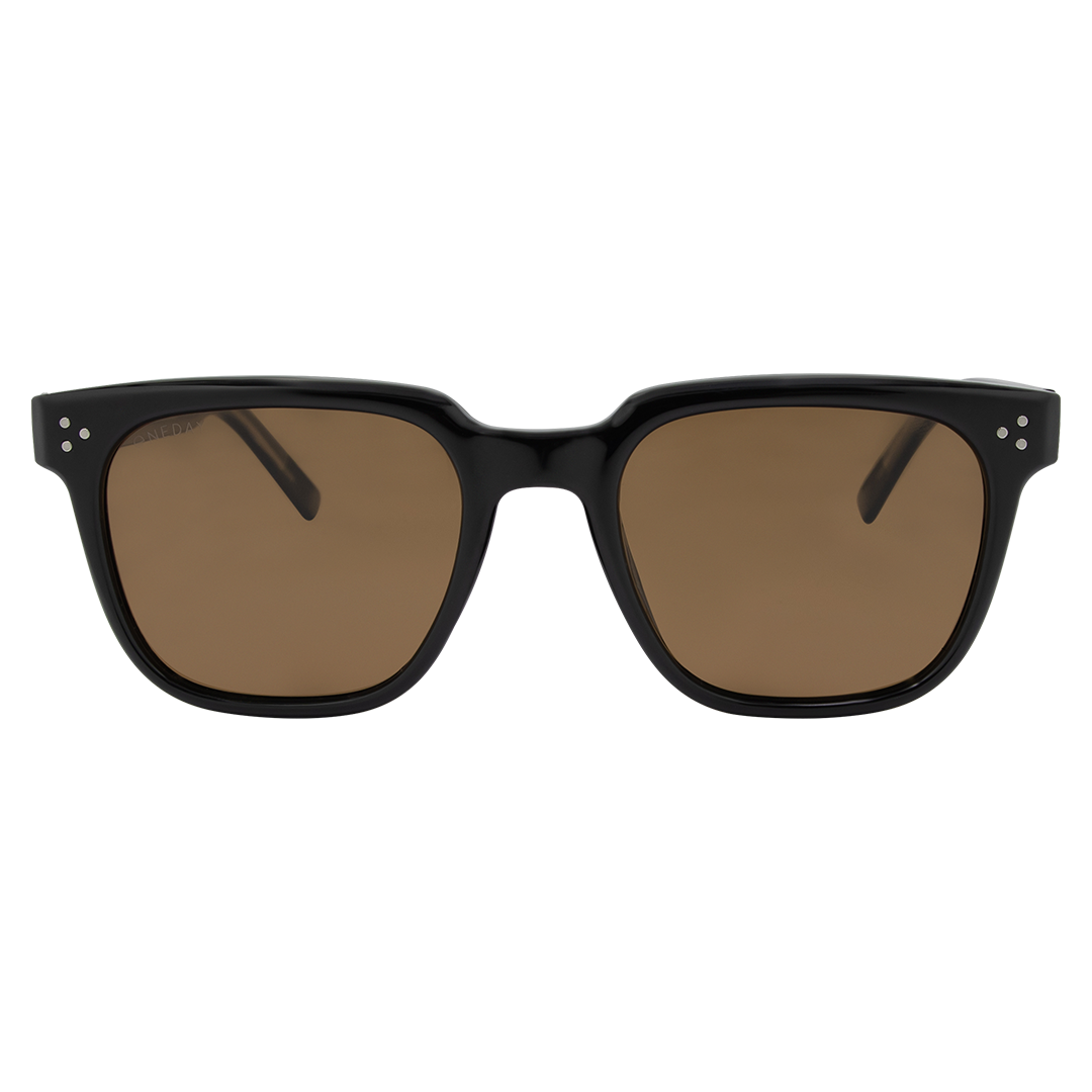 Parker - Shiny Black Brown