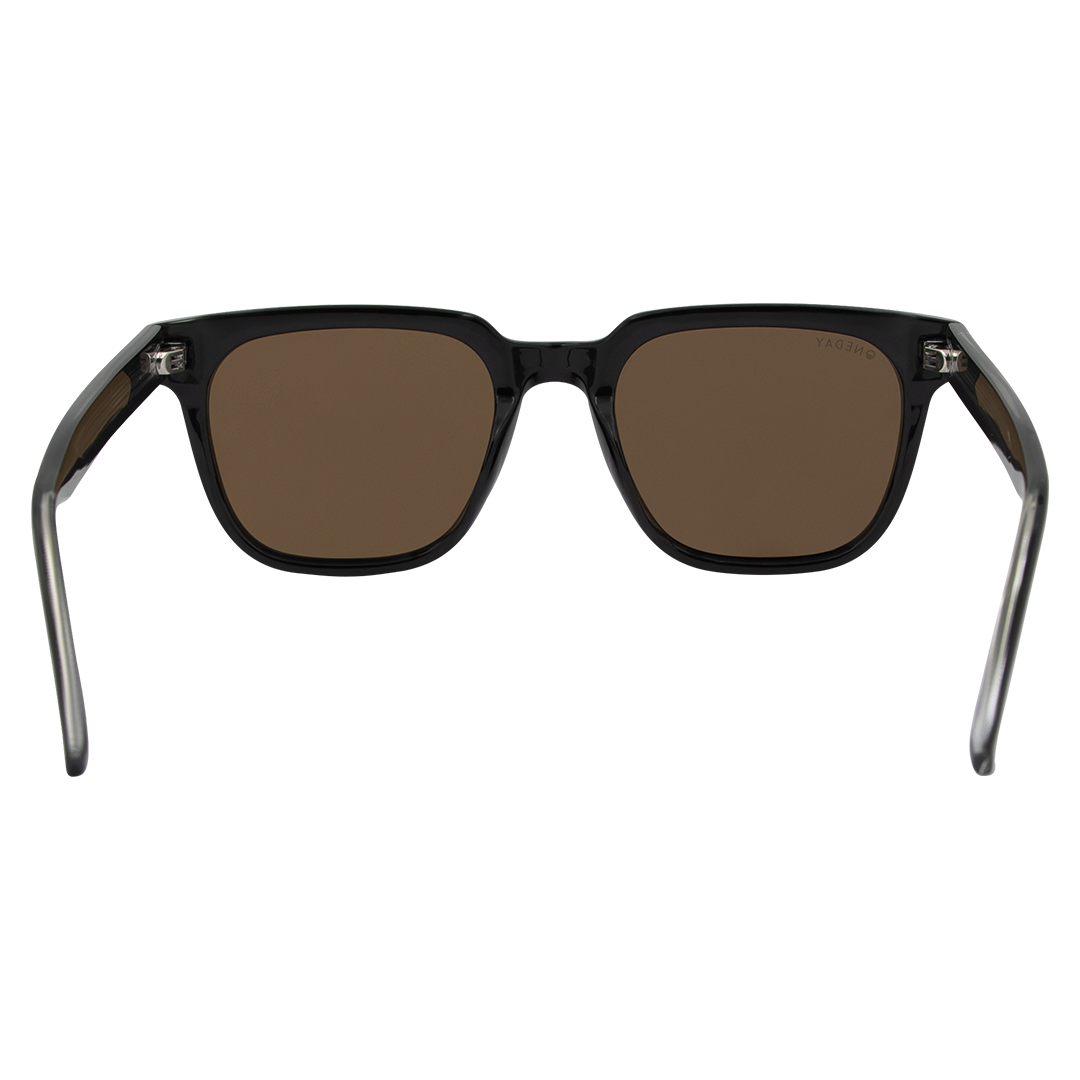 Parker - Shiny Black Brown