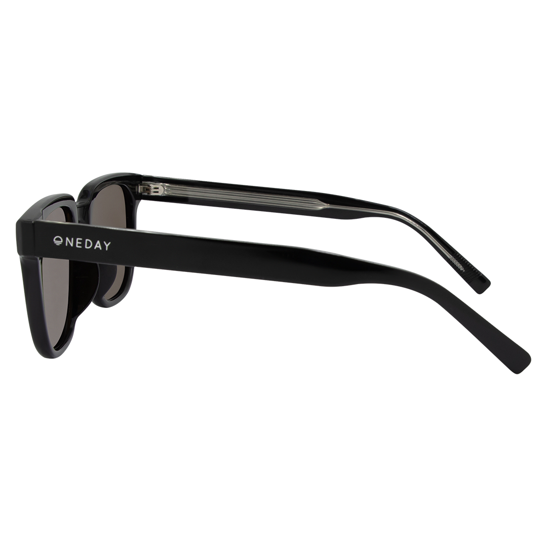 Parker - Shiny Black Brown