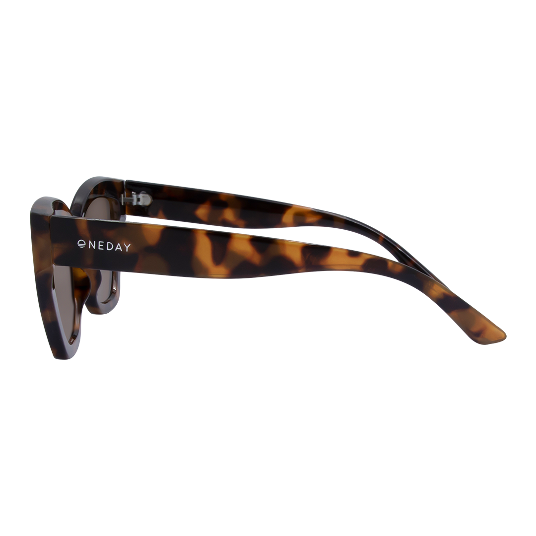 Winona Cats Eye Women's Sunglasses with Tortoise Shell Frame and Brown Lens left view