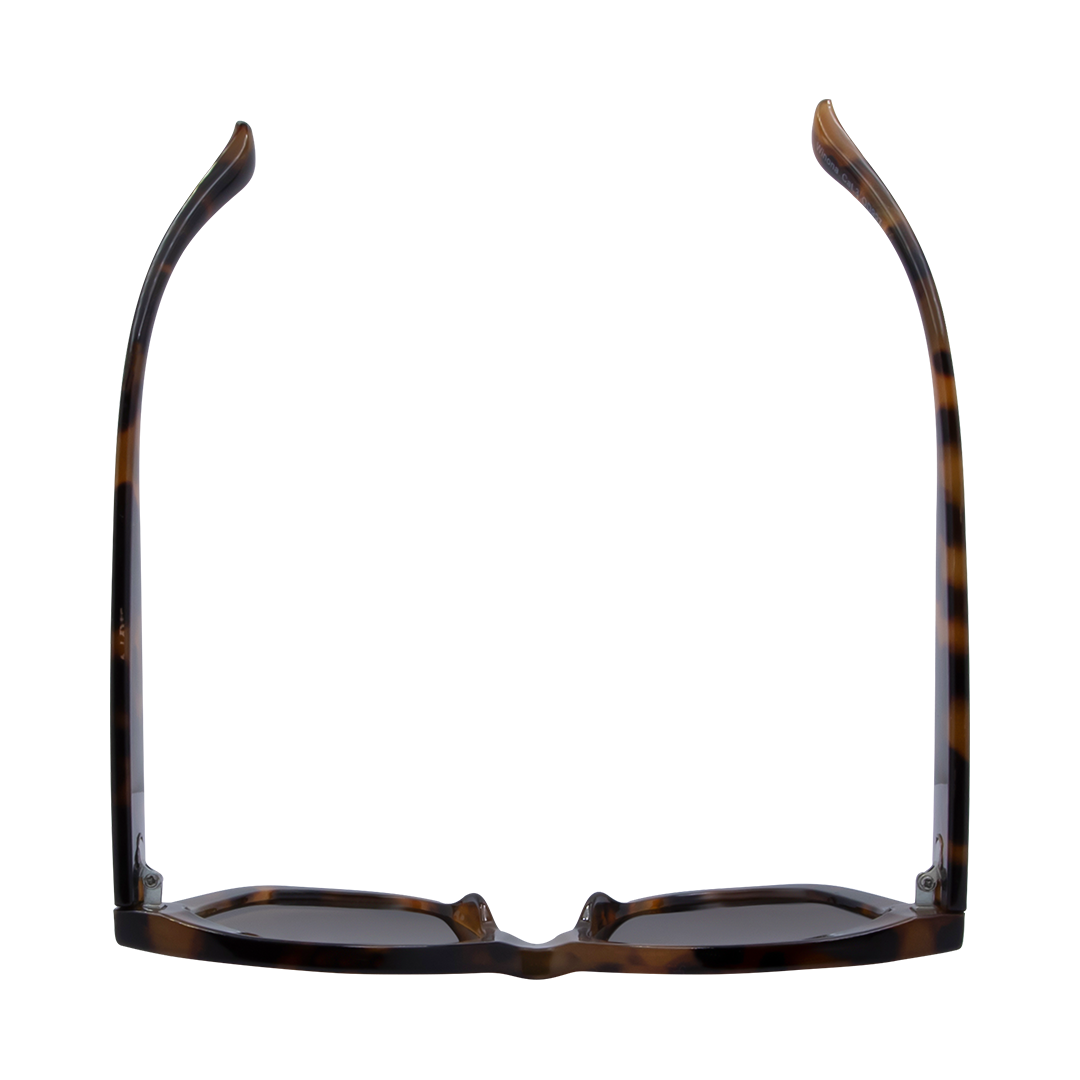 Winona Cats Eye Women's Sunglasses with Tortoise Shell Frame and Brown Lens top view