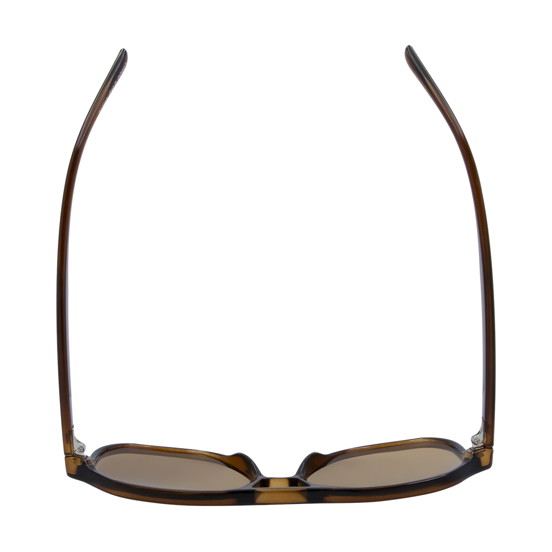 Delilah Aviator Women's Sunglasses with Brown Frame and Brown Lens top view