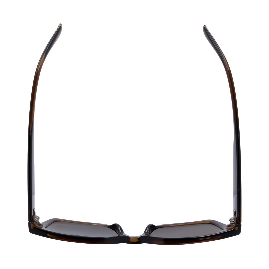 Rhodes Square Women's Sunglasses with Brown Frame and Brown Lens top view