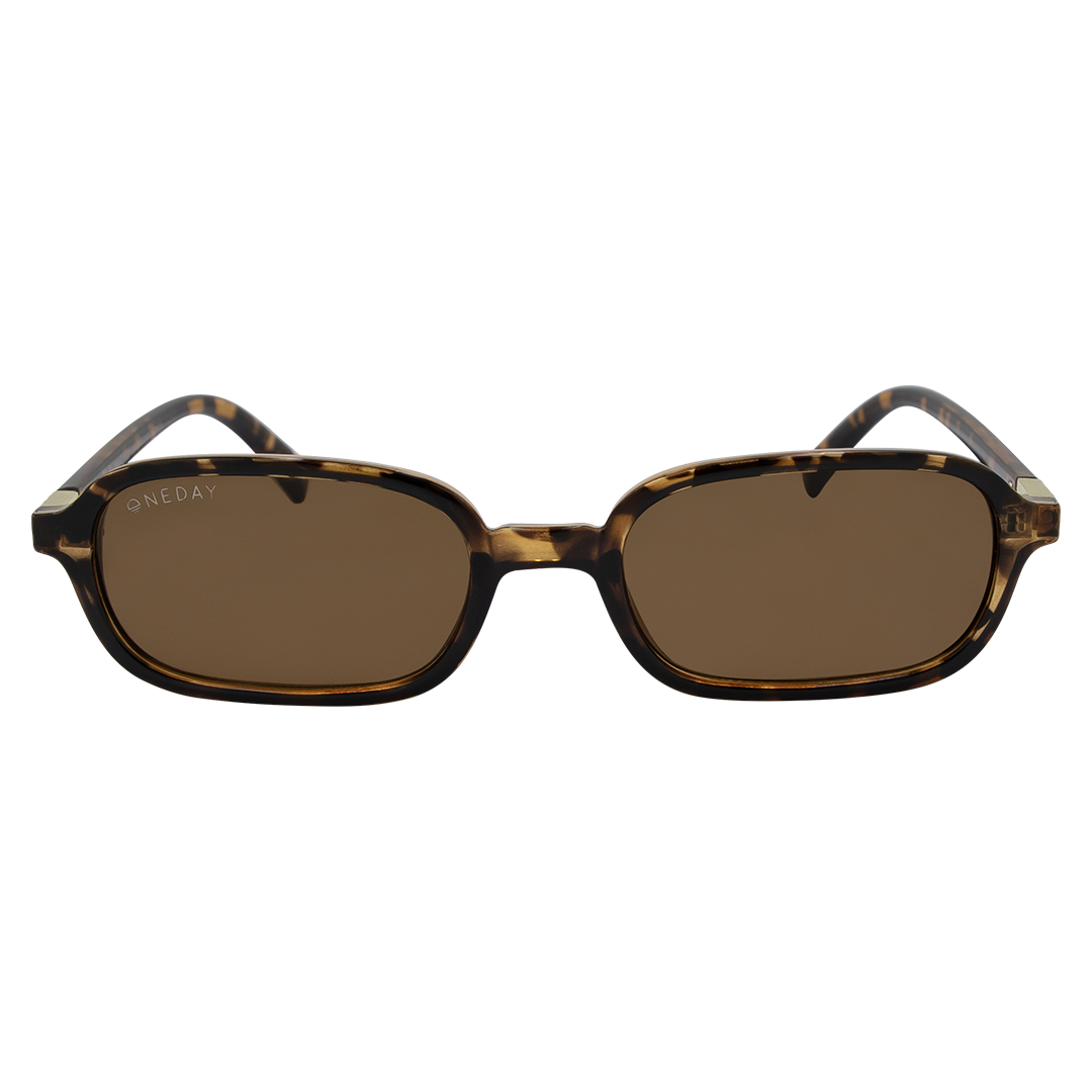 Ellery - Tort Brown