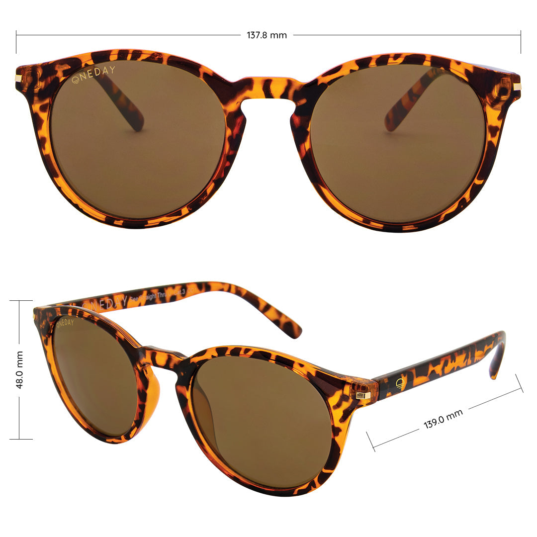 See Straight Thru U Tort Brown Women's Sunglasses