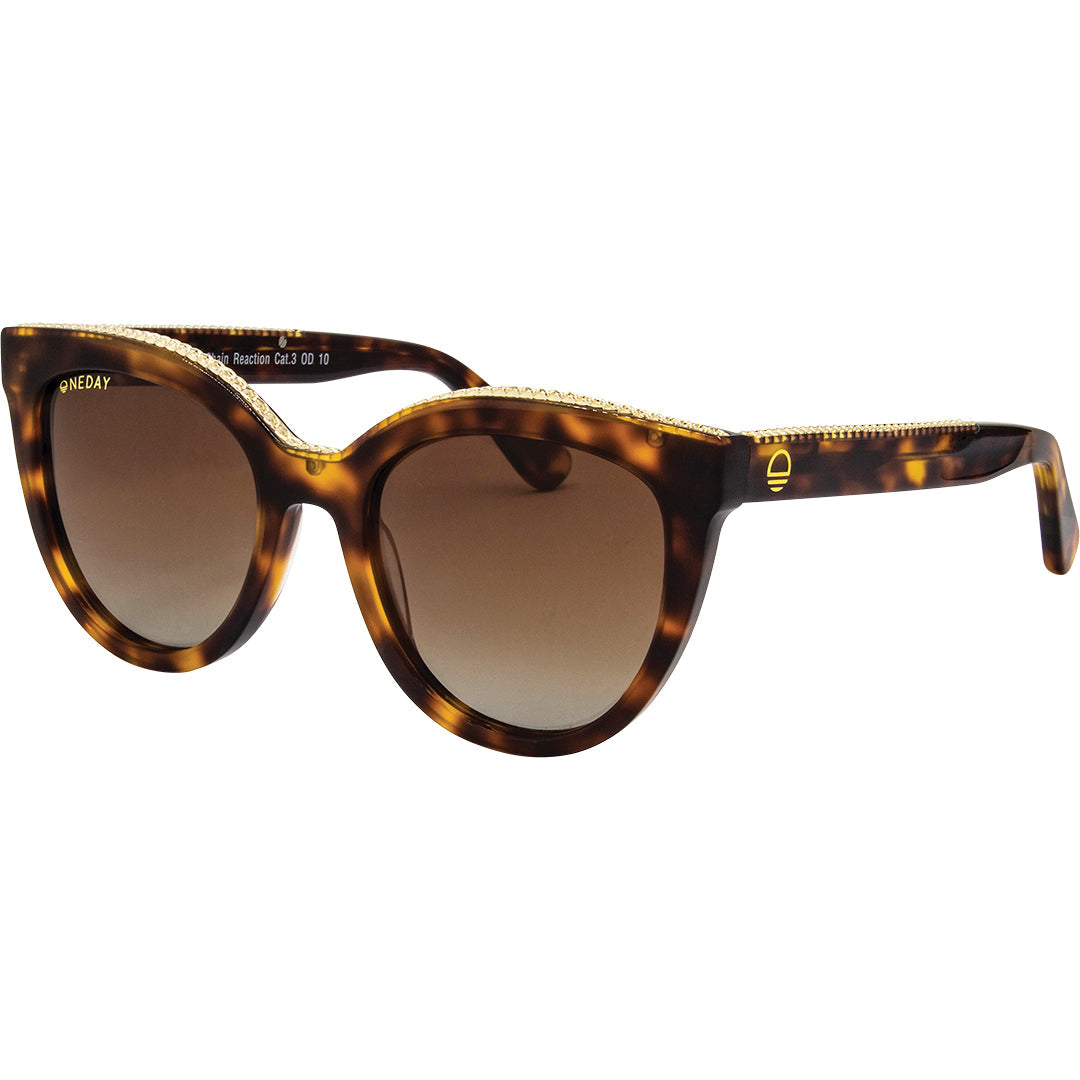 Chain Reaction Tort Brown Polarised Acetate