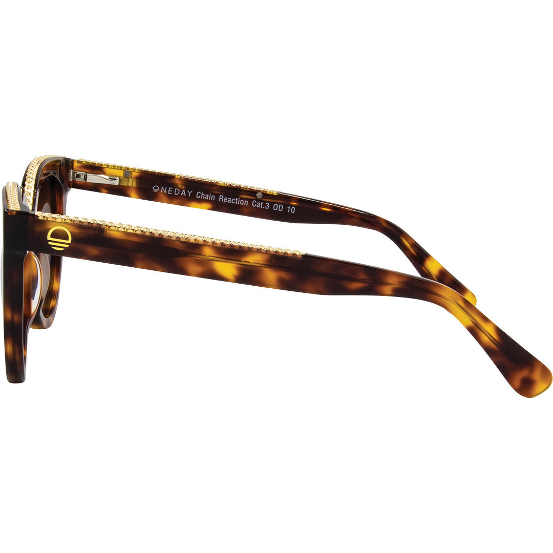 Chain Reaction Tort Brown Polarised Acetate