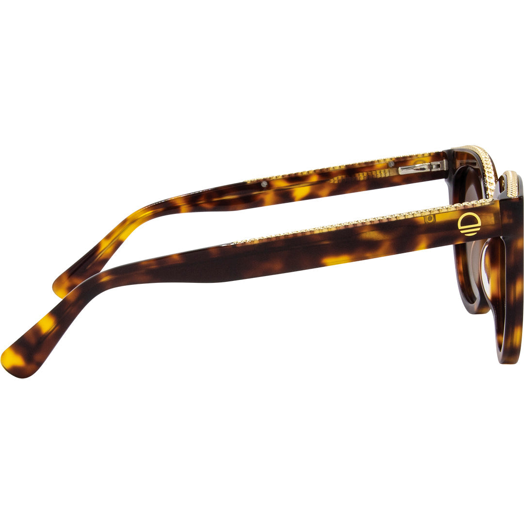 Chain Reaction Tort Brown Polarised Acetate