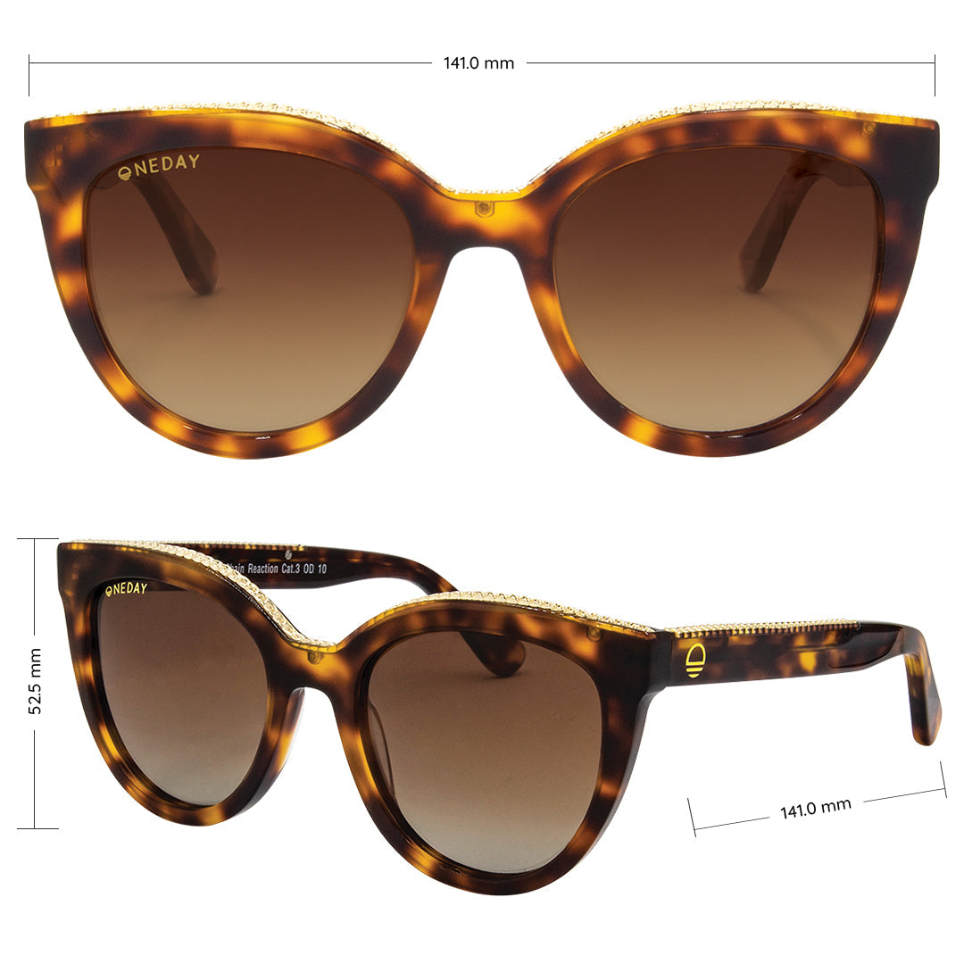 Chain Reaction Tort Brown Polarised Acetate